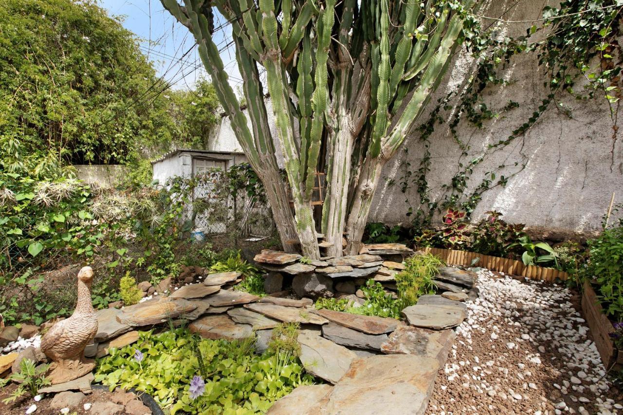 Apartamento Jardin Del Sol Tacoronte Exterior foto